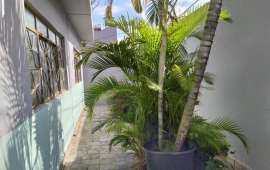 Casa Para alugar no Parque das Nações