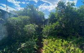 Lote Para Comprar no Centro