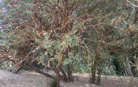 Chácara à Venda no Zona Rural