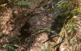 Chácara à Venda no Zona Rural